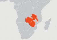 New HIV Infections Declining in Sub-Saharan African